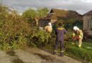 Повалені дерева і розкриті будинки: на Сумщині ліквідовують наслідки негоди