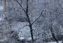Як виглядає Київ після першого снігу (фото)