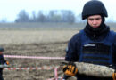 В Україні затвердили план розмінування полів для сівби